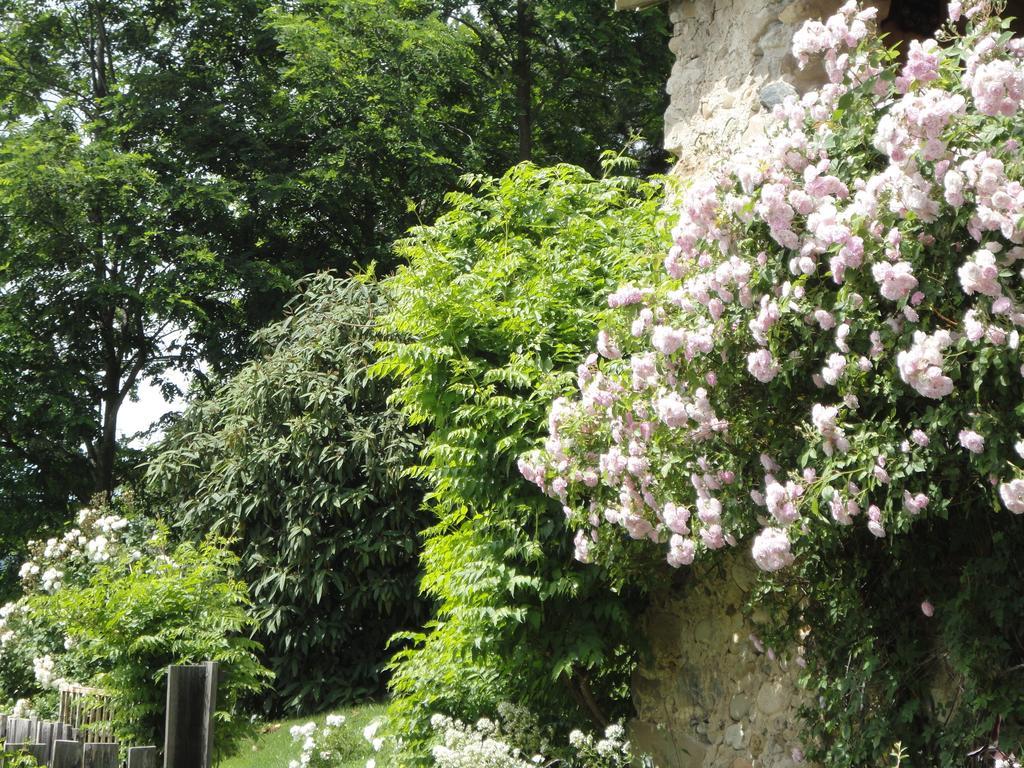 Willa Un Gite De Charme En Haute Provence Sigoyer  Pokój zdjęcie