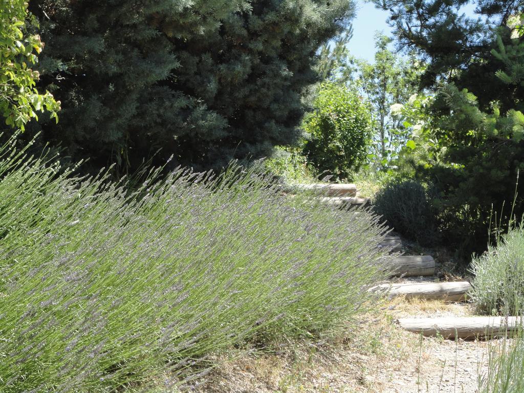 Willa Un Gite De Charme En Haute Provence Sigoyer  Pokój zdjęcie